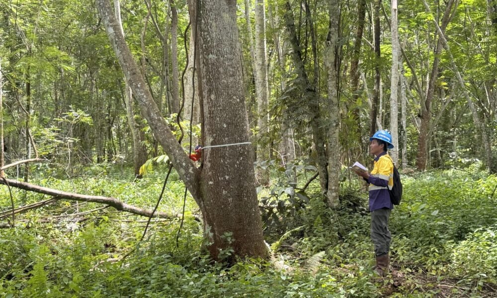 2025_01_16_11_23_IMG_8660 2025_01_16_11_23_IMG_8660